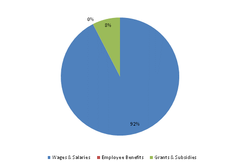 Pie Chart: Wages & Salaries=92%, Employee Benefits=0%, Grants & Subsidies=8%