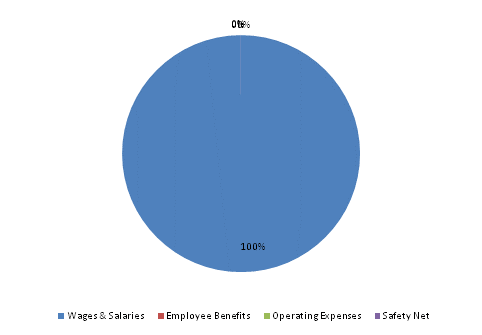 Pie Chart: Wages & Salaries=100%, Employee Benefits=0%, Operating Expenses=0%, Safety Net=0%