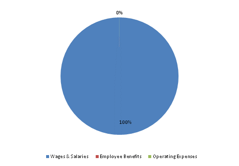 Pie Chart: Wages & Salaries=100%, Employee Benefits=0%, Operating Expenses=0%