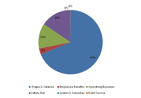 Pie Chart: Wages & Salaries=69%, Employee Benefits=3%, Operating Expenses=13%, Safety Net=15%, Grants & Subsidies=0%, Debt Service=0%