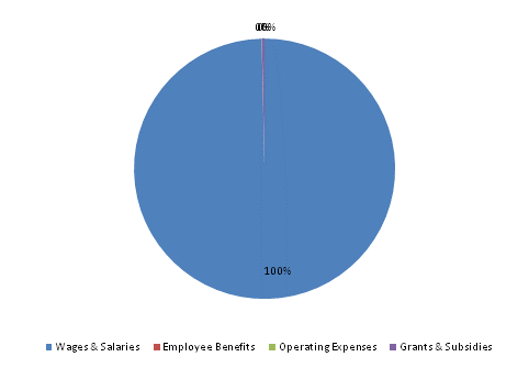 Pie Chart: Wages & Salaries=100%, Employee Benefits=0%, Operating Expenses=0%, Grants & Subsidies=0%