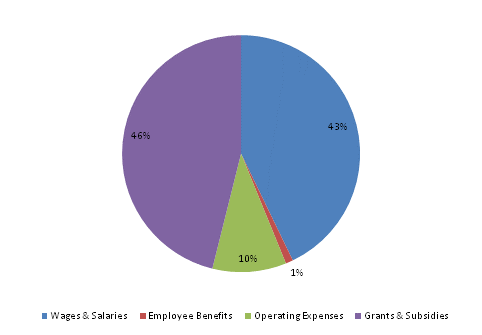 Pie Chart: Wages & Salaries=43%, Employee Benefits=1%, Operating Expenses=10%, Grants & Subsidies=46%