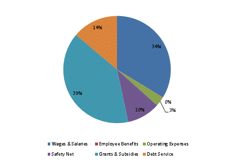 Pie Chart: Wages & Salaries=34%, Employee Benefits=0%, Operating Expenses=3%, Safety Net=10%, Grants & Subsidies=39%, Debt Service=14%