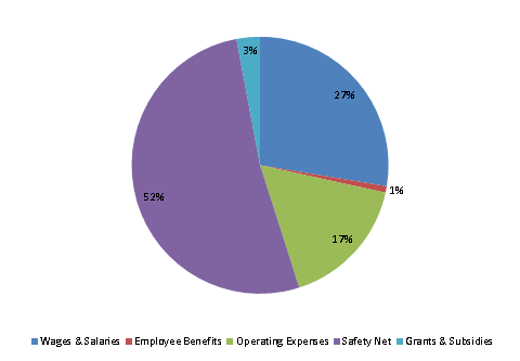 Pie Chart: Wages & Salaries=28%, Employee Benefits=1%, Operating Expenses=17%, Safety Net=51%, Grants & Subsidies=3%