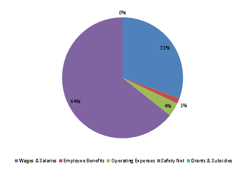 Pie Chart: Wages & Salaries=31%, Employee Benefits=1%, Operating Expenses=4%, Safety Net=64%, Grants & Subsidies=0%