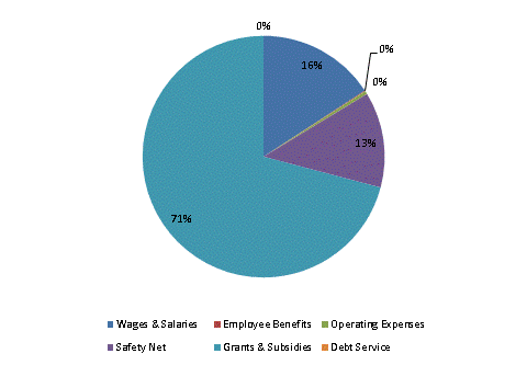 Pie Chart: Wages & Salaries=16%, Employee Benefits=0%, Operating Expenses=0%, Safety Net=13%, Grants & Subsidies=71%, Debt Service=0%