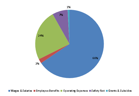 Pie Chart: Wages & Salaries=66%, Employee Benefits=2%, Operating Expenses=24%, Safety Net=7%, Grants & Subsidies=1%