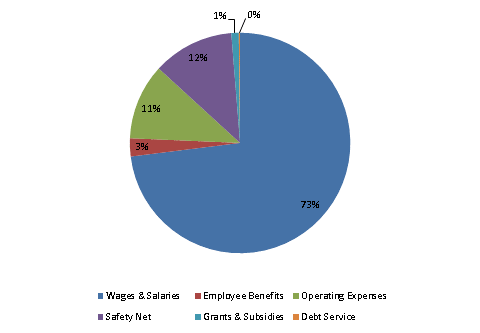 Pie Chart: Wages & Salaries=73%, Employee Benefits=3%, Operating Expenses=11%, Safety Net=12%, Grants & Subsidies=1%, Debt Service=0%