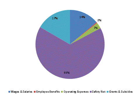 Pie Chart: Wages & Salaries=14%, Employee Benefits=0%, Operating Expenses=3%, Safety Net=66%, Grants & Subsidies=17%