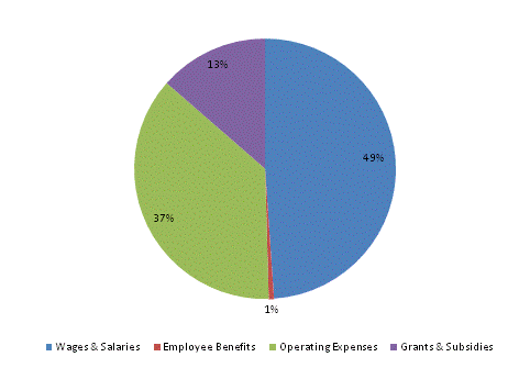 Pie Chart: Wages & Salaries=48%, Employee Benefits=1%, Operating Expenses=37%, Grants & Subsidies=14%