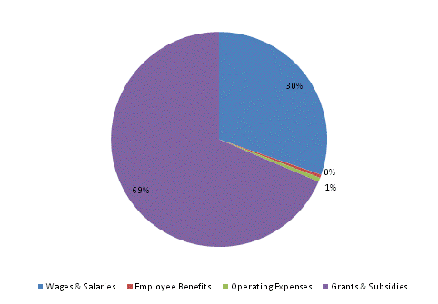 Pie Chart: Wages & Salaries=30%, Employee Benefits=0%, Operating Expenses=1%, Grants & Subsidies=69%