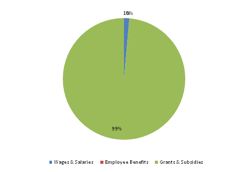 Pie Chart: Wages & Salaries=1%, Employee Benefits=0%, Grants & Subsidies=99%