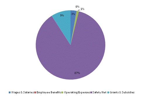 Pie Chart: Wages & Salaries=3%, Employee Benefits=0%, Operating Expenses=1%, Safety Net=87%, Grants & Subsidies=9%