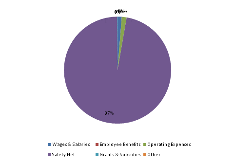 Pie Chart: Wages & Salaries=1%, Employee Benefits=0%, Operating Expenses=1%, Safety Net=98%, Grants & Subsidies=0%, Other=0%