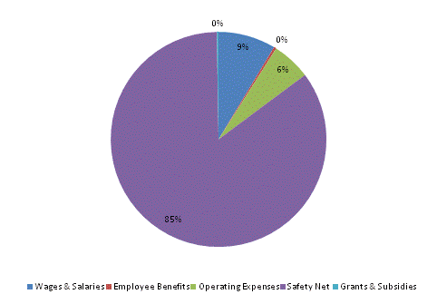 Pie Chart: Wages & Salaries=9%, Employee Benefits=0%, Operating Expenses=6%, Safety Net=85%, Grants & Subsidies=0%