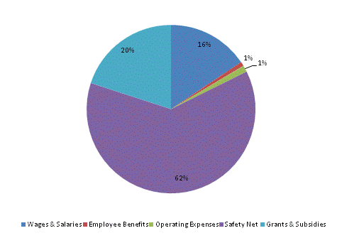 Pie Chart: Wages & Salaries=16%, Employee Benefits=1%, Operating Expenses=1%, Safety Net=62%, Grants & Subsidies=20%