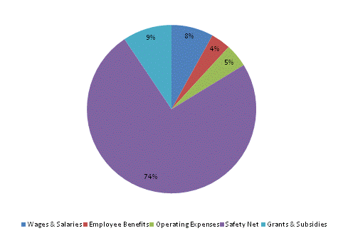 Pie Chart: Wages & Salaries=8%, Employee Benefits=4%, Operating Expenses=4%, Safety Net=75%, Grants & Subsidies=9%