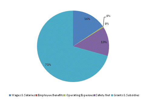 Pie Chart: Wages & Salaries=16%, Employee Benefits=0%, Operating Expenses=0%, Safety Net=13%, Grants & Subsidies=71%