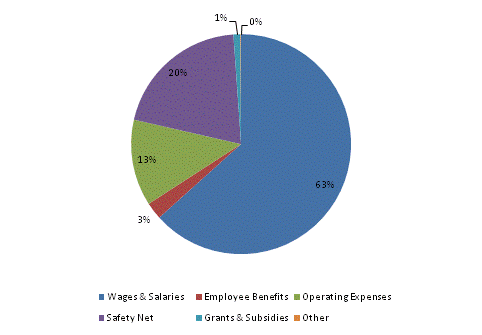 Pie Chart: Wages & Salaries=63%, Employee Benefits=3%, Operating Expenses=13%, Safety Net=20%, Grants & Subsidies=1%, Other=0%