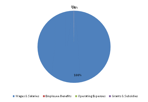 Pie Chart: Wages & Salaries=100%, Employee Benefits=0%, Operating Expenses=0%, Grants & Subsidies=0%