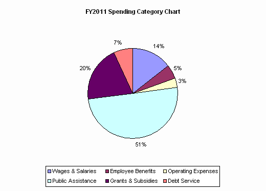 FY2011 Spending Category Chart:Wages & Salaries=14%, Employee Benefits=5%, Operating Expenses=3%, Public Assistance=51%, Grants & Subsidies=20%, Debt Service=7%