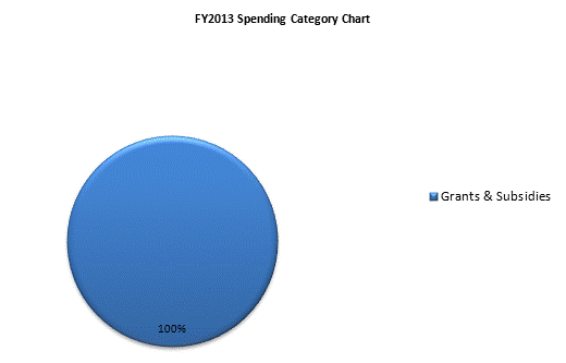 FY2013 Spending Category Chart:Grants & Subsidies=100%