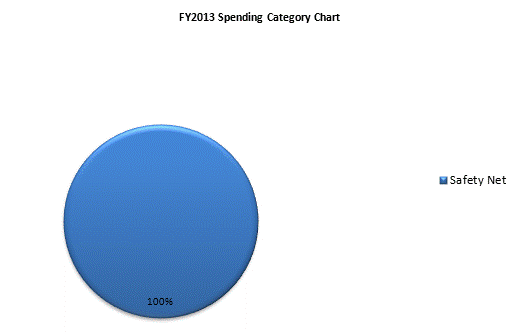 FY2013 Spending Category Chart:Safety Net=100%