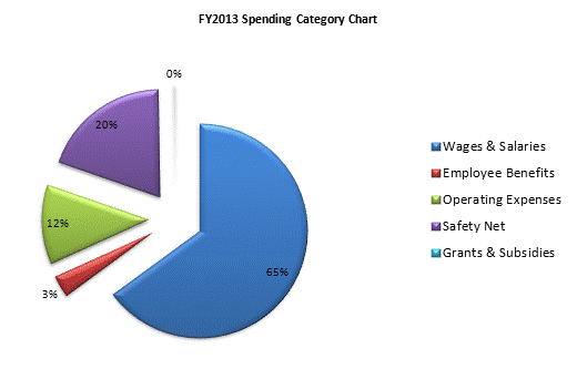 FY2013 Spending Category Chart:Wages & Salaries=66%, Employee Benefits=3%, Operating Expenses=12%, Safety Net=19%, Grants & Subsidies=0%