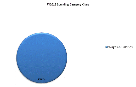 FY2013 Spending Category Chart:Wages & Salaries=100%