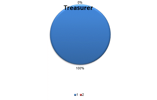 Pie Chart: Treasurer=96%, Departments that are Less than 5% of Total=4%