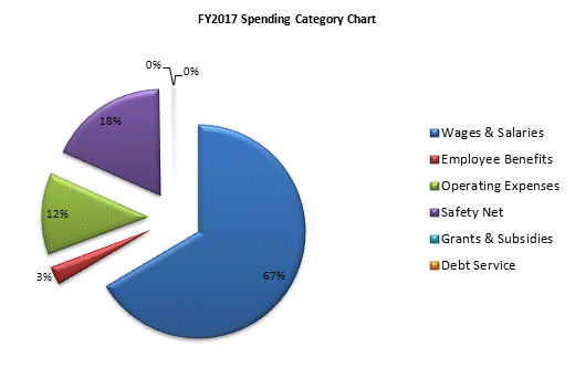 FY2017 Spending Category Chart:Wages & Salaries=67%, Employee Benefits=3%, Operating Expenses=12%, Safety Net=18%, Grants & Subsidies=0%, Debt Service=0%