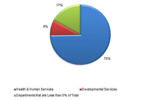 Pie Chart: Health & Human Services=75%, Developmental Services=8%, Departments that are Less than 5% of Total=17%