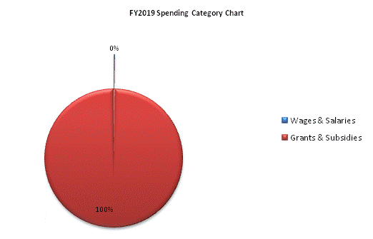 FY2019 Spending Category Chart:Wages & Salaries=0%, Grants & Subsidies=100%