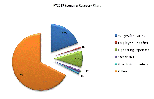 FY2019 Spending Category Chart:Wages & Salaries=20%, Employee Benefits=1%, Operating Expenses=10%, Safety Net=1%, Grants & Subsidies=1%, Other=67%