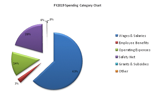 FY2019 Spending Category Chart:Wages & Salaries=62%, Employee Benefits=3%, Operating Expenses=14%, Safety Net=21%, Grants & Subsidies=0%, Other=0%