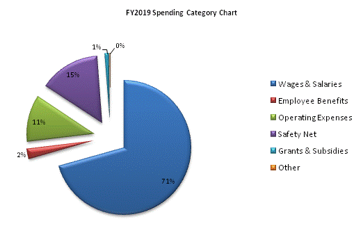 FY2019 Spending Category Chart:Wages & Salaries=71%, Employee Benefits=2%, Operating Expenses=11%, Safety Net=15%, Grants & Subsidies=1%, Other=0%