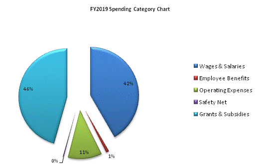 FY2019 Spending Category Chart:Wages & Salaries=42%, Employee Benefits=1%, Operating Expenses=11%, Safety Net=0%, Grants & Subsidies=46%